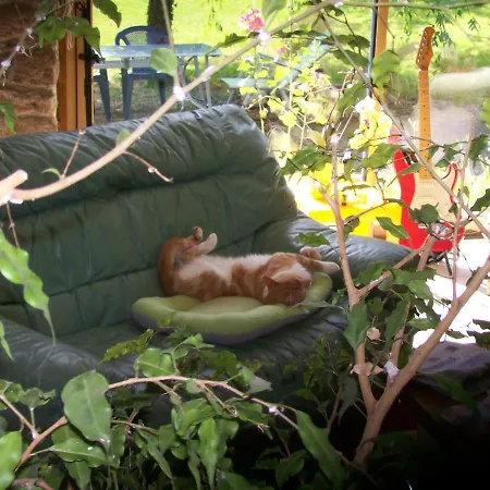 Bed & Breakfast Les Rhodos Noirpalu