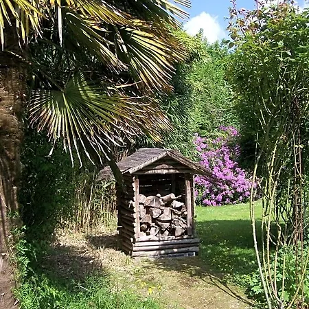 Les Rhodos