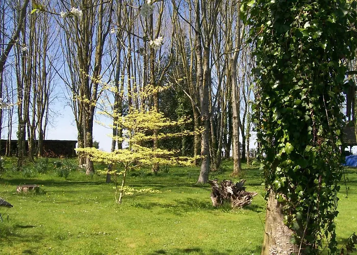 ベッド・アンド・ブレックファスト Les Rhodos 3*