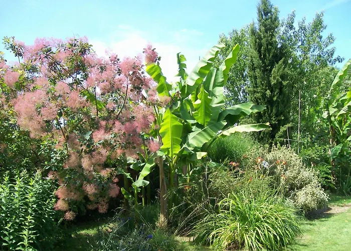 ベッド・アンド・ブレックファスト Les Rhodos 3*